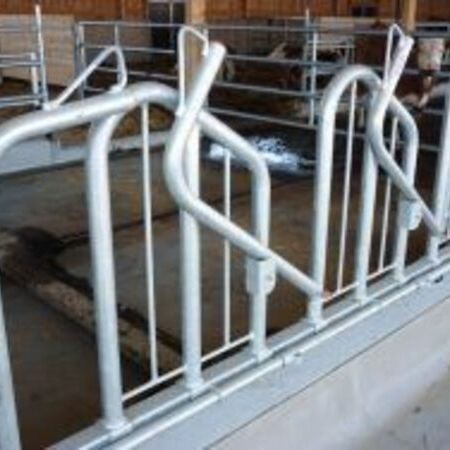 Fressgitter für Rinder in der Südoststeiermark | Österreich